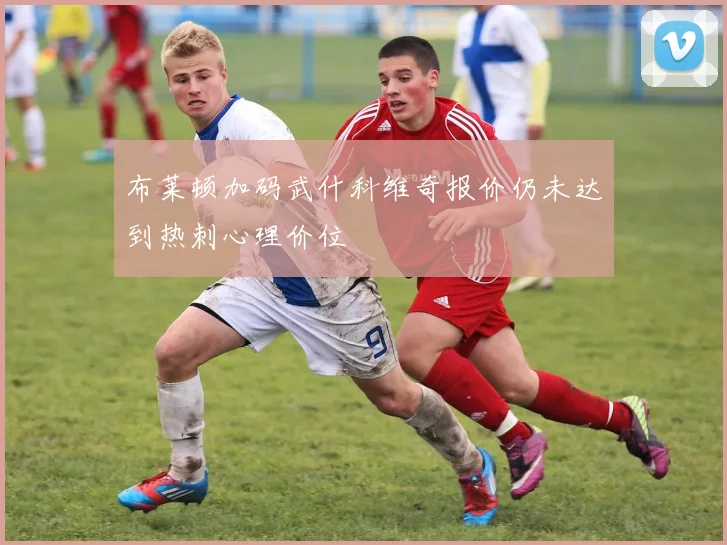 布莱顿加码武什科维奇报价仍未达到热刺心理价位
